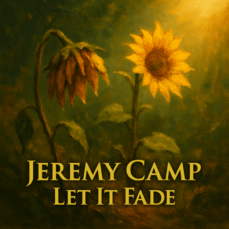 Visual Art by GoodChristianMusic.com for Jeremy Camp Let it Fad Feature