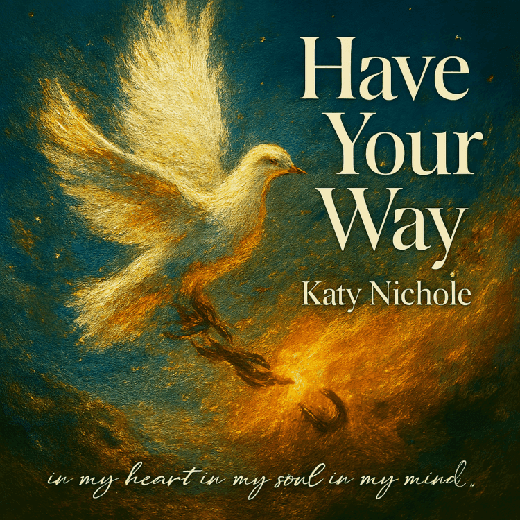 Katy Nichole Have your Way Visual Art by GoodChristianMusic.com