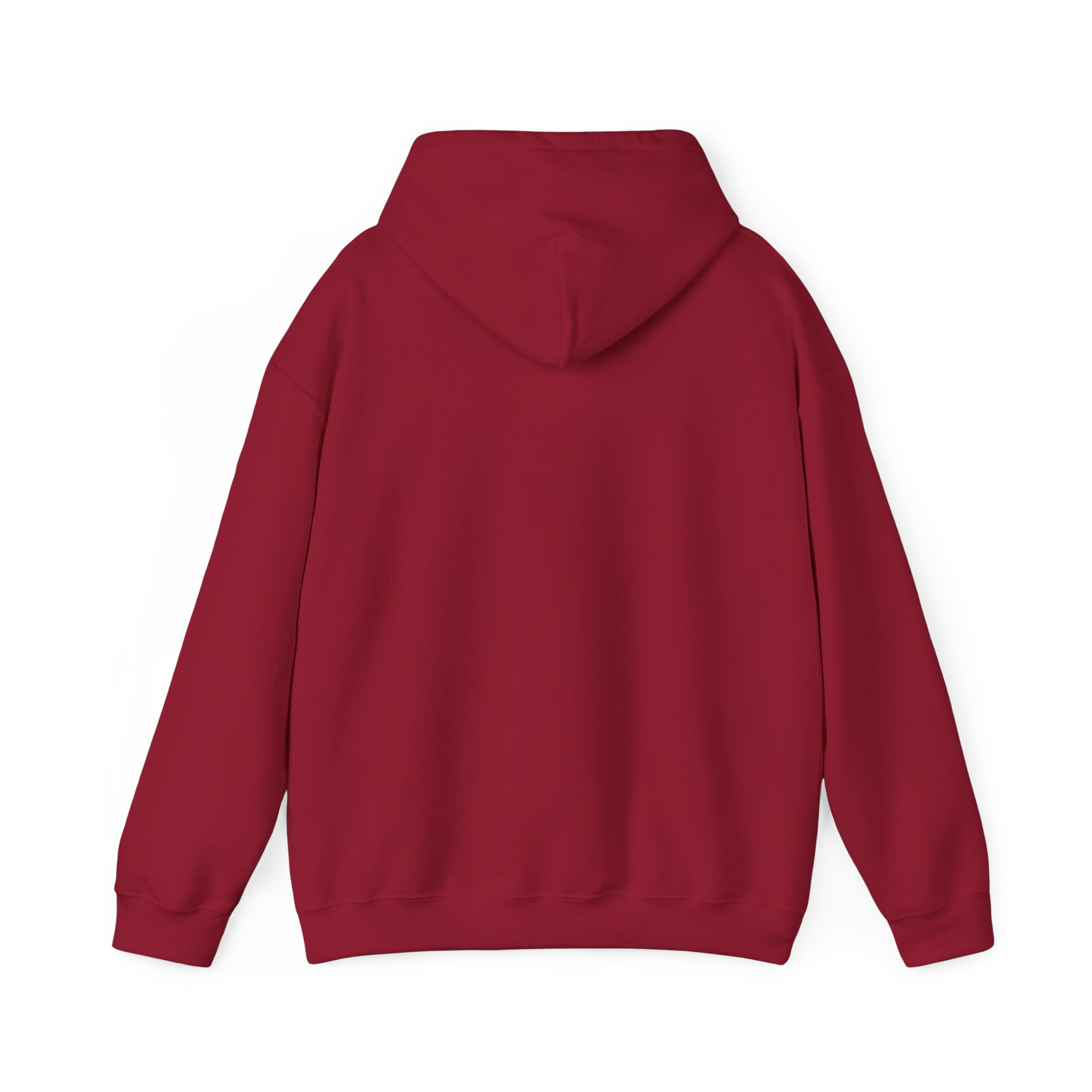 The Way • The Truth • The Life – Light in Every Step Hoodie - Image 88