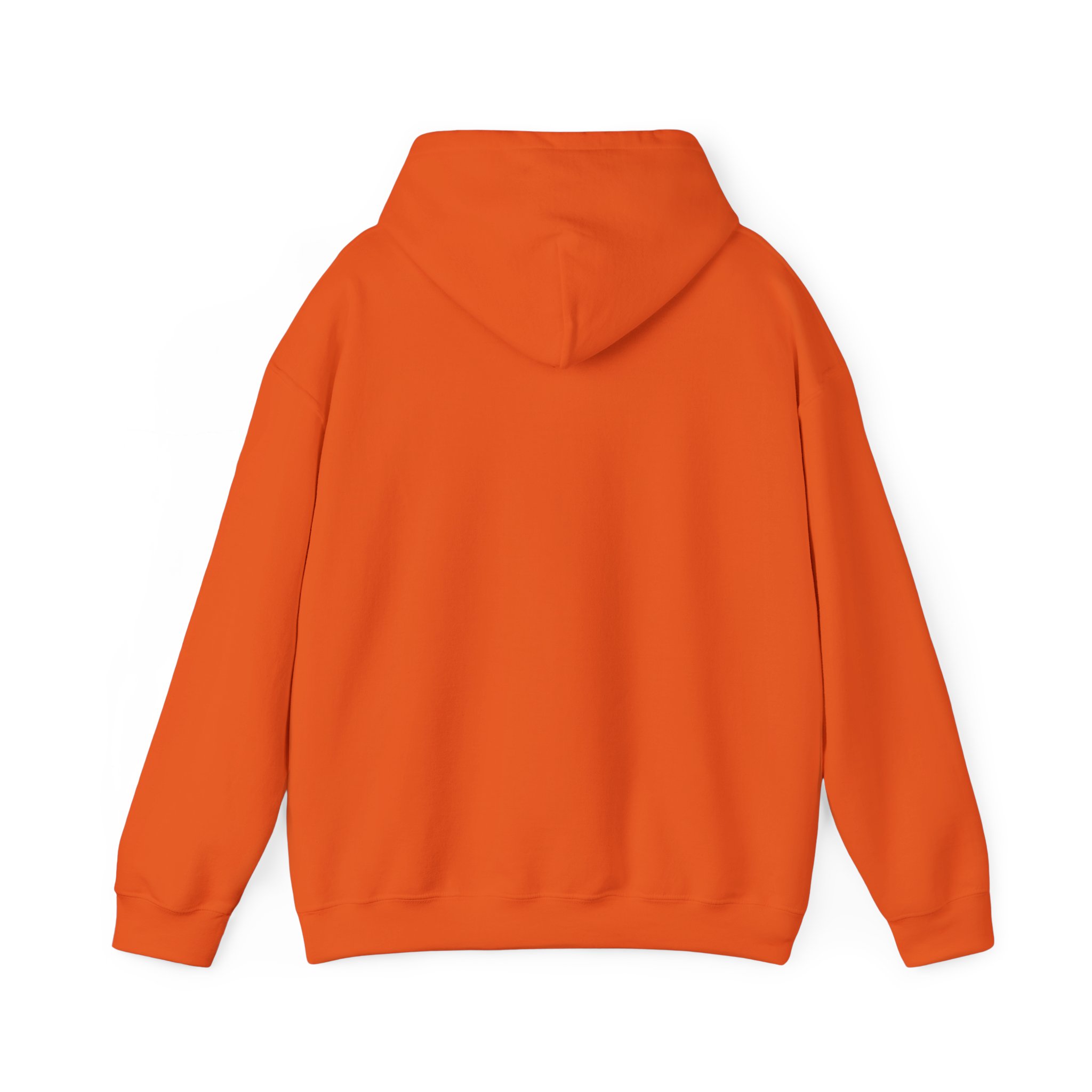The Way • The Truth • The Life – Light in Every Step Hoodie - Image 64
