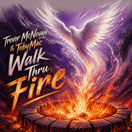 Trevor McNevan & TobyMac Walk Thru Fire Visual Art